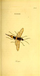 n82_w1150