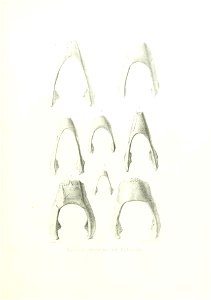 n158_w1150