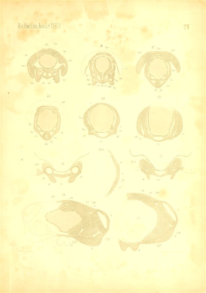 n112_w1150