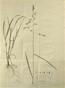 n136_w1150