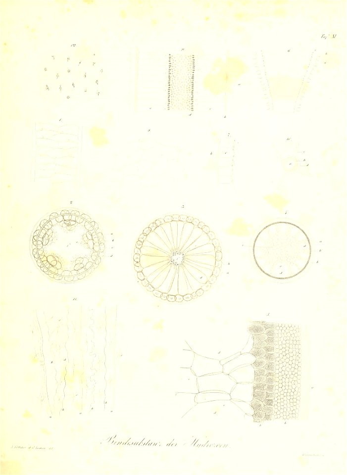n222_w1150