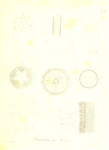 n222_w1150