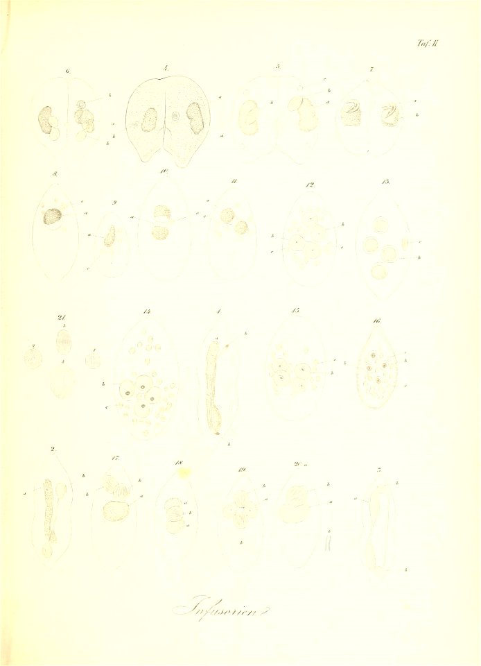 n100_w1150