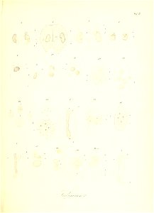 n100_w1150