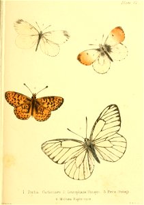 n154_w1150