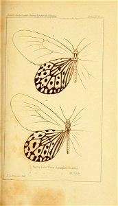n292_w1150