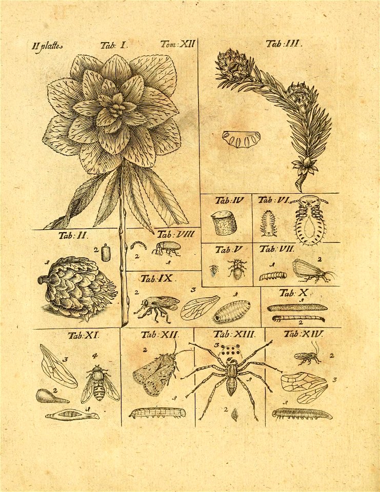 n589_w1150
