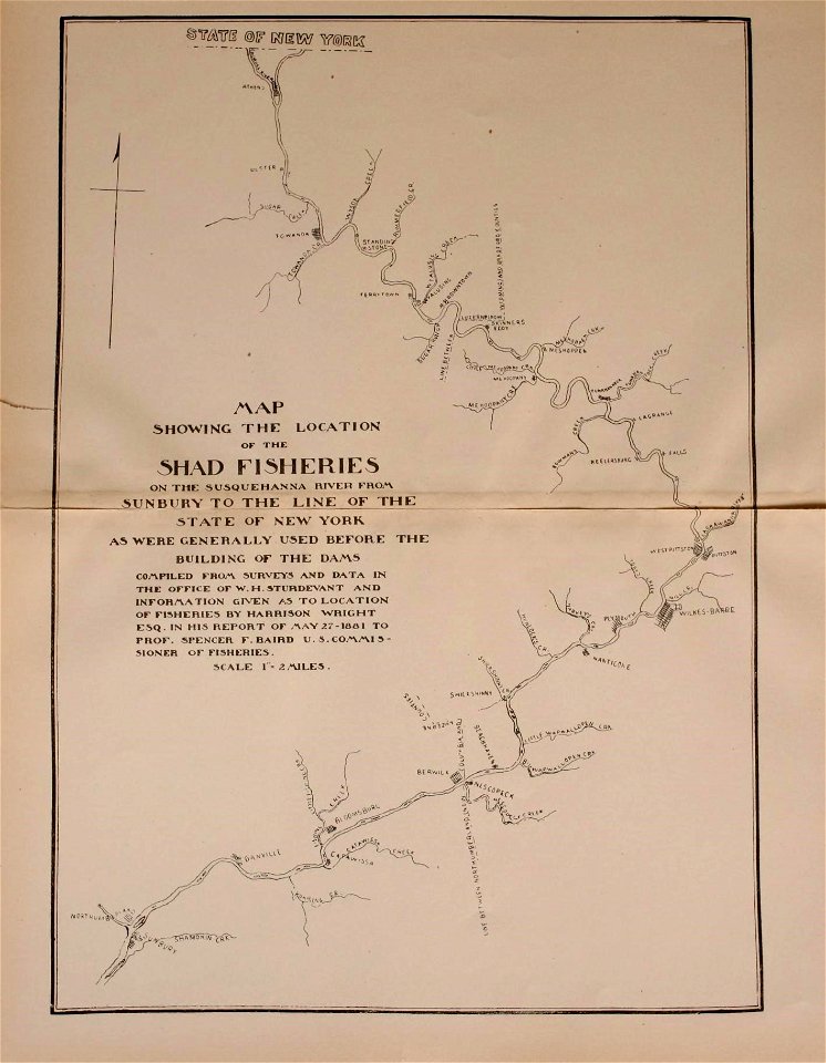 n238_w1150
