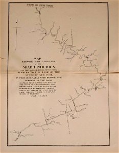 n238_w1150