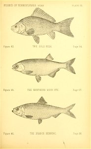 n202_w1150