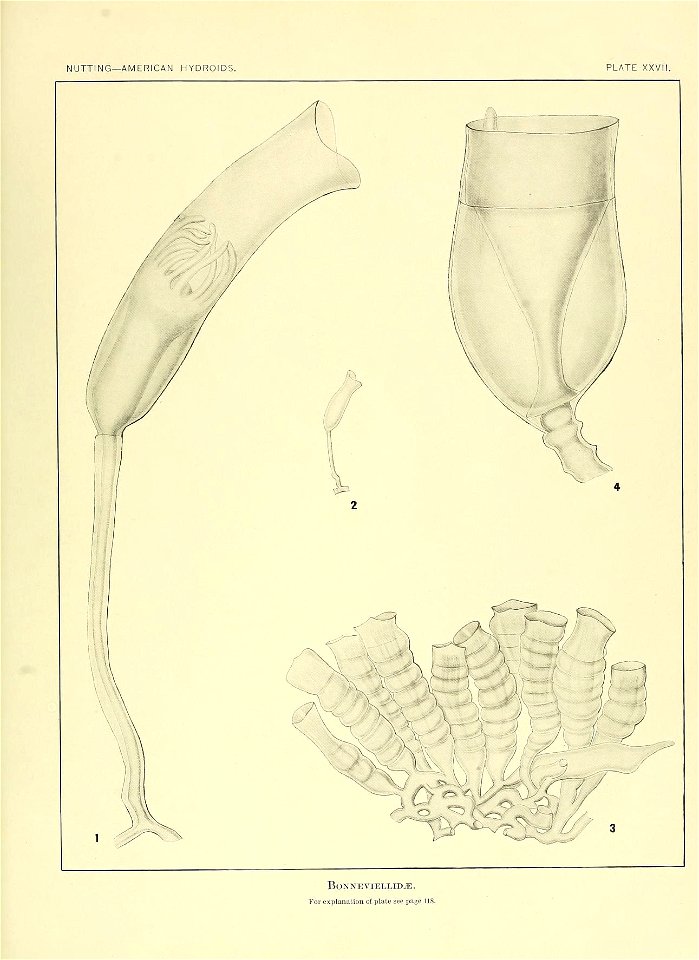 n182_w1150