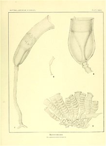 n182_w1150