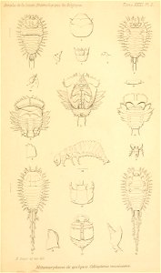 n978_w1150