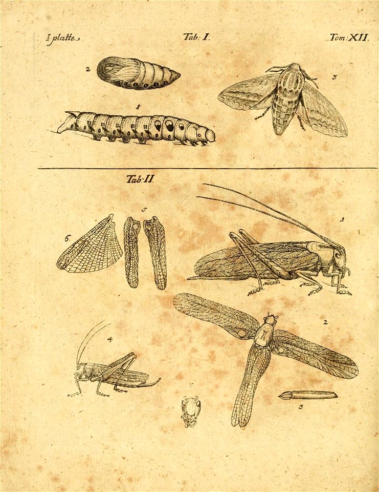 n587_w1150