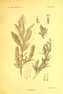 n68_w1150