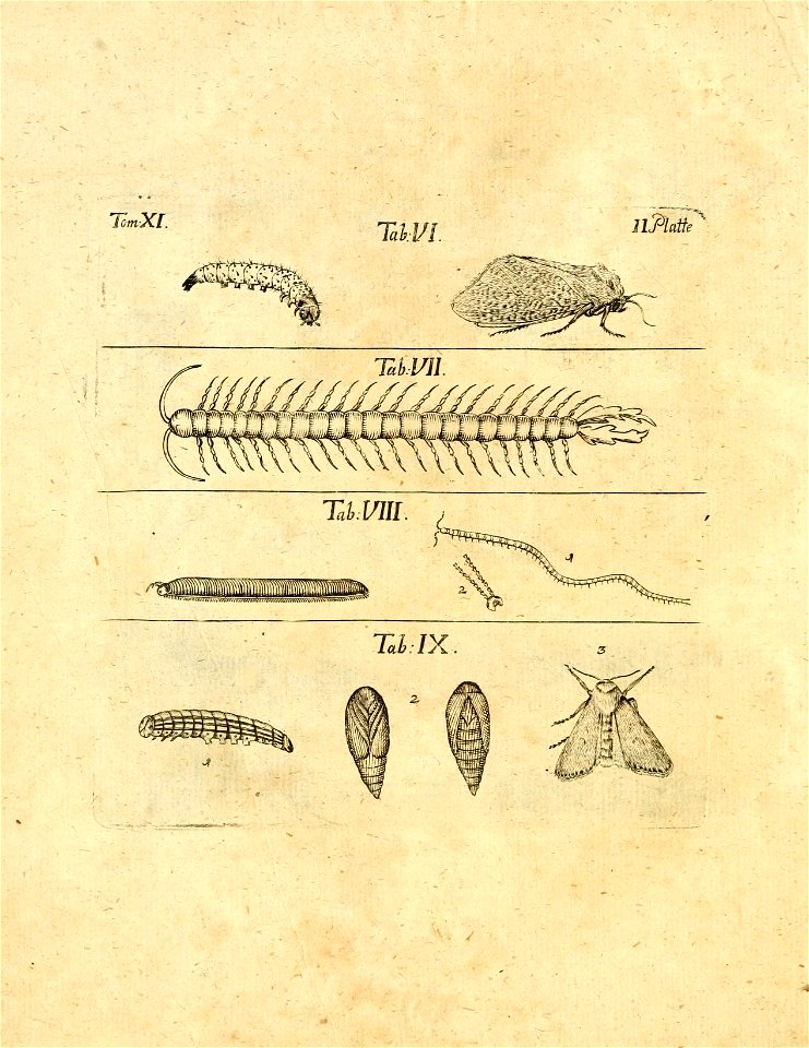 n541_w1150