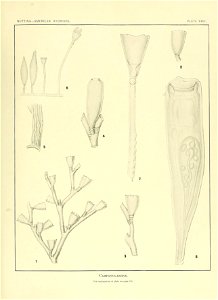 n176_w1150