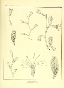 n146_w1150