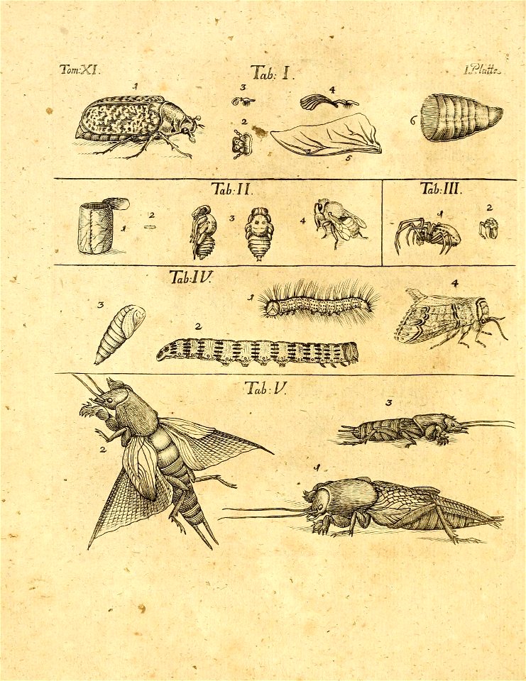 n539_w1150