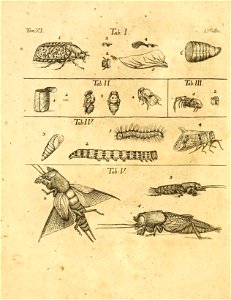 n539_w1150
