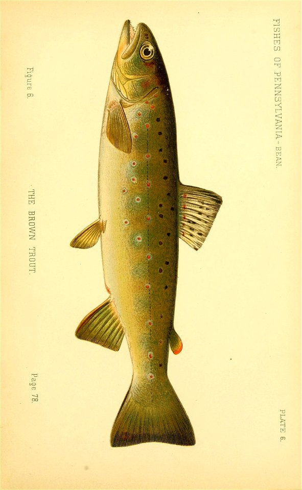 n102_w1150