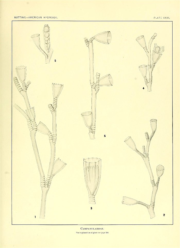 n174_w1150