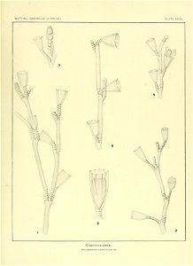 n174_w1150