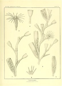 n142_w1150