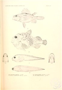 n820_w1150