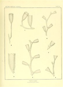 n140_w1150