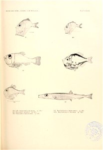 n758_w1150
