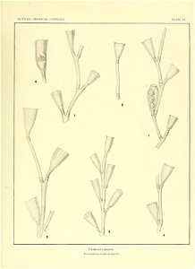 n168_w1150