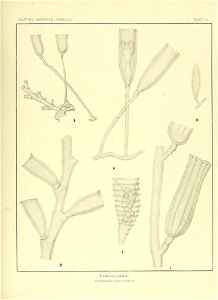 n138_w1150
