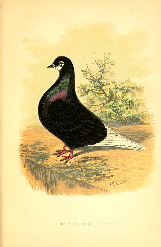 n404_w1150