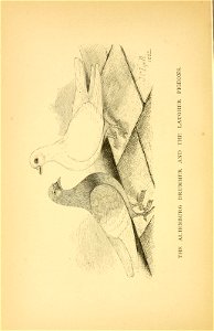 n199_w1150