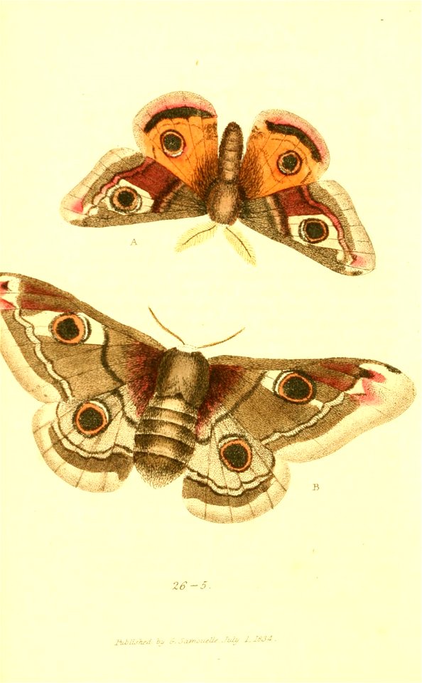 n661_w1150
