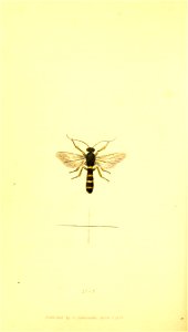 n409_w1150