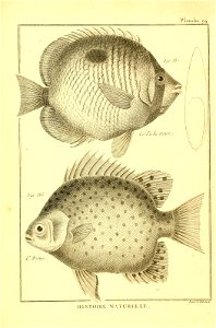 n470_w1150