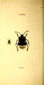 n215_w1150