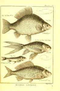 n438_w1150