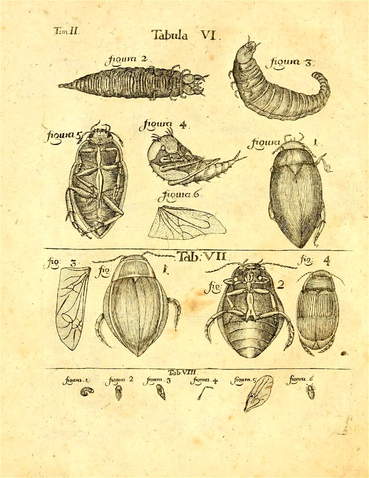 n55_w1150
