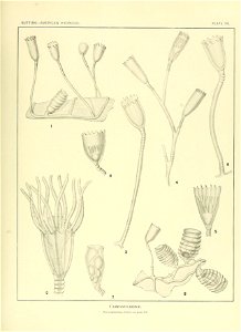n152_w1150