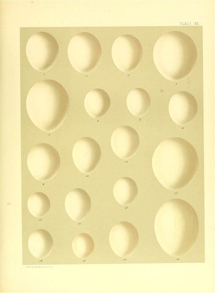 n474_w1150