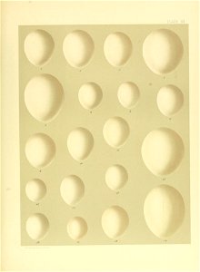 n474_w1150