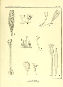 n178_w1150