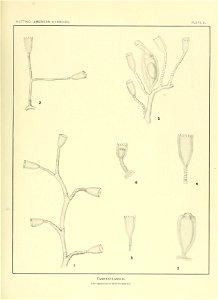 n148_w1150