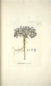n159_w1150
