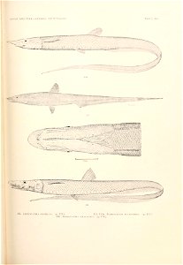 n762_w1150