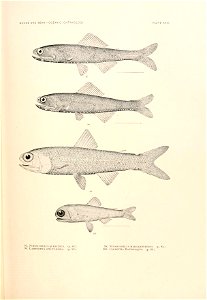 n732_w1150