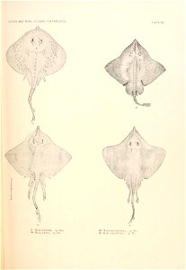 n698_w1150